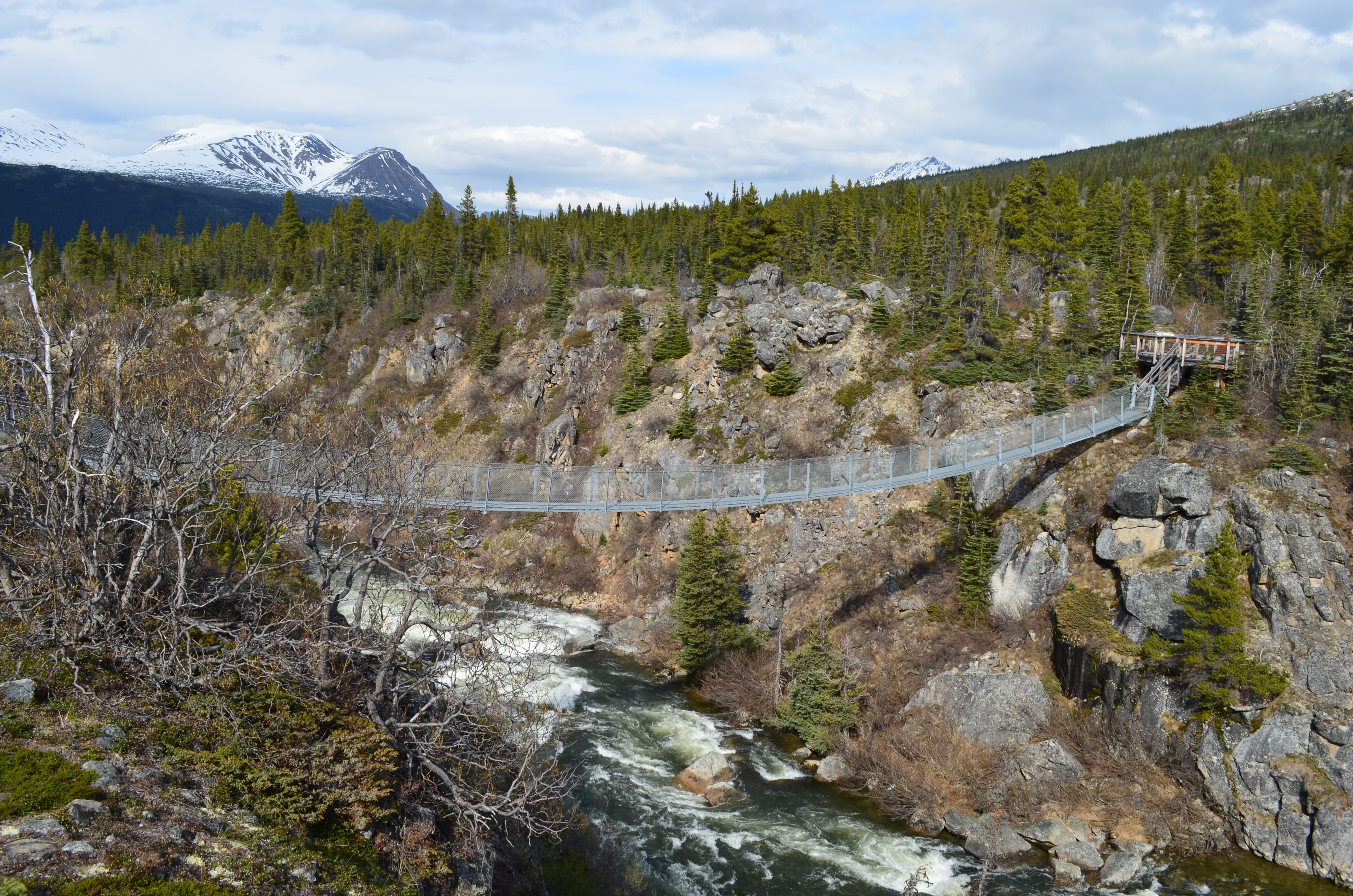./2017/08 - Alaska Cruise/09 - Skagway/DSC_0064.JPG